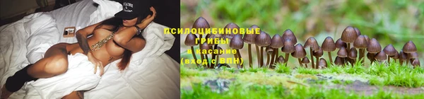 метадон Снежногорск