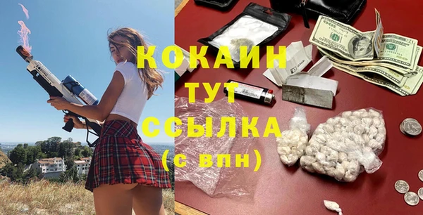 гашик Балахна