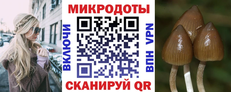 Псилоцибиновые грибы Psilocybe  где продают   Беслан 